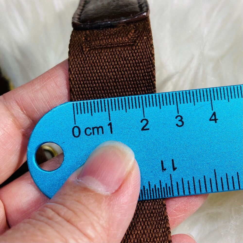 Coach Brown Webbing Strap - Picture 4 of 6